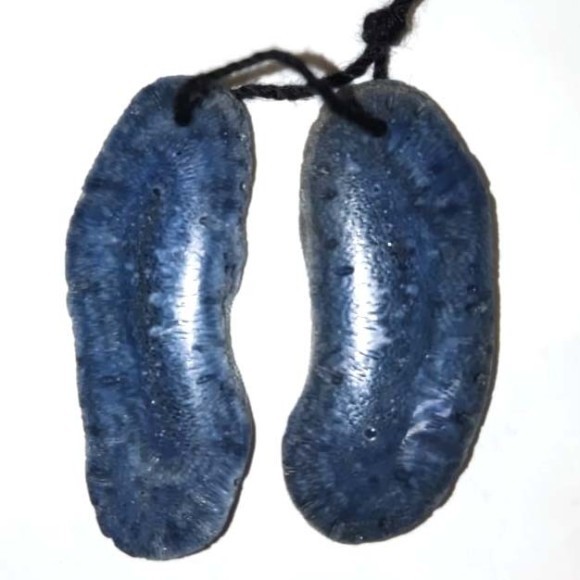 Коралл синий, пара фриформ 14х32